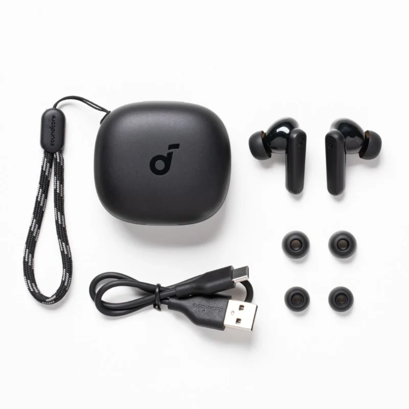 Anker Soundcore R50i Earbuds